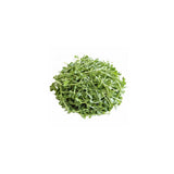 Brahmi (Bacopa) Ayurvedic Herbal Oil