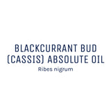 Blackcurrant Bud (Cassis) Absolute Oil