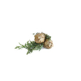 Blue Cypress Essential Oil
