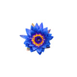 Lotus (Blue) Absolute Oil