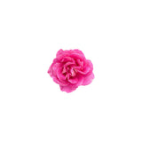 Rose Damask (Bulgarian) Absolute