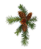Douglas Fir Needle Essential Oil