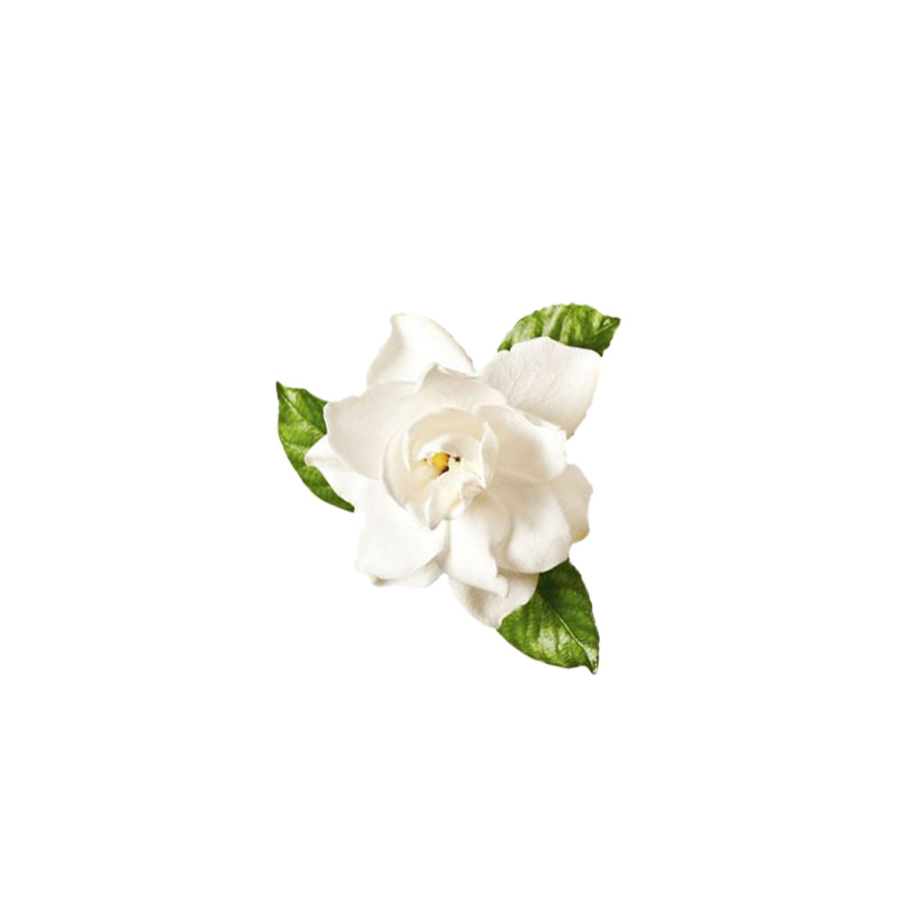 Gardenia Absolute Oil