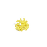 Helichrysum (Immortelle) Essential Oil