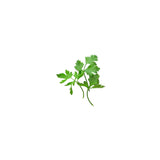 Parsley Essential Oil