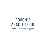 Boronia Absolute Oil 50mL + Free Dropper