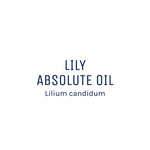 Lily Absolute Oil 50ml + Free Dropper