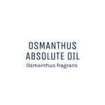 Osmanthus Absolute Oil