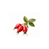 Rosehip Carrier Oil