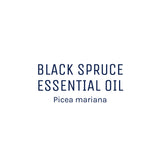 Black Spruce
