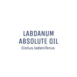Labdanum