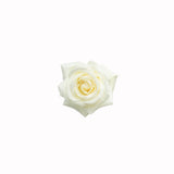 White Rose Essential Oil 50mL + Free Dropper