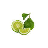 Bergamot Essential Oil 50ml + Free Dropper