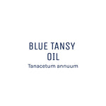 Blue Tansy Essential Oil 50ml + Free Dropper