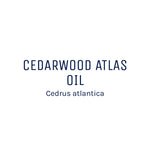 Cedarwood Atlas Essential Oil 50ml + Free Dropper