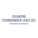 Cilantro Oil 50ml + Free Dropper