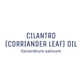 Cilantro Oil 50ml + Free Dropper