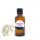 Elderflower Absolute Oil 50ml + Free Dropper