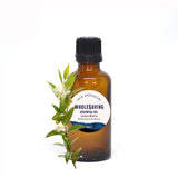 Lemon Myrtle Oil 50mL + Free Dropper