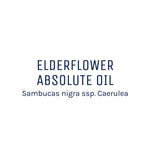 Elderflower Absolute Oil 50ml + Free Dropper