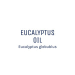 Eucalyptus Essential Oil 50ml + Free Dropper