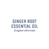 Ginger Root Oil 50ml + Free Dropper