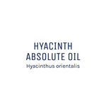 Hyacinth Absolute Oil 50ml + Free Dropper