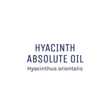 Hyacinth Absolute Oil 50ml + Free Dropper