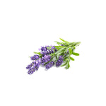 Lavender Essential Oil 50ml + Free Dropper