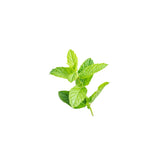 Peppermint Essential Oil 50ml + Free Dropper