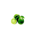 Persian Lime (Tahitian Lime) Essential Oil 50ml + Free Dropper