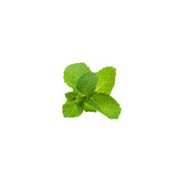 Spearmint Essential Oil 50ml + Free Dropper