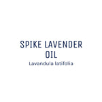 Lavender (Spike) Essential Oil 50ml + Free Dropper