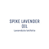 Lavender (Spike) Essential Oil 50ml + Free Dropper