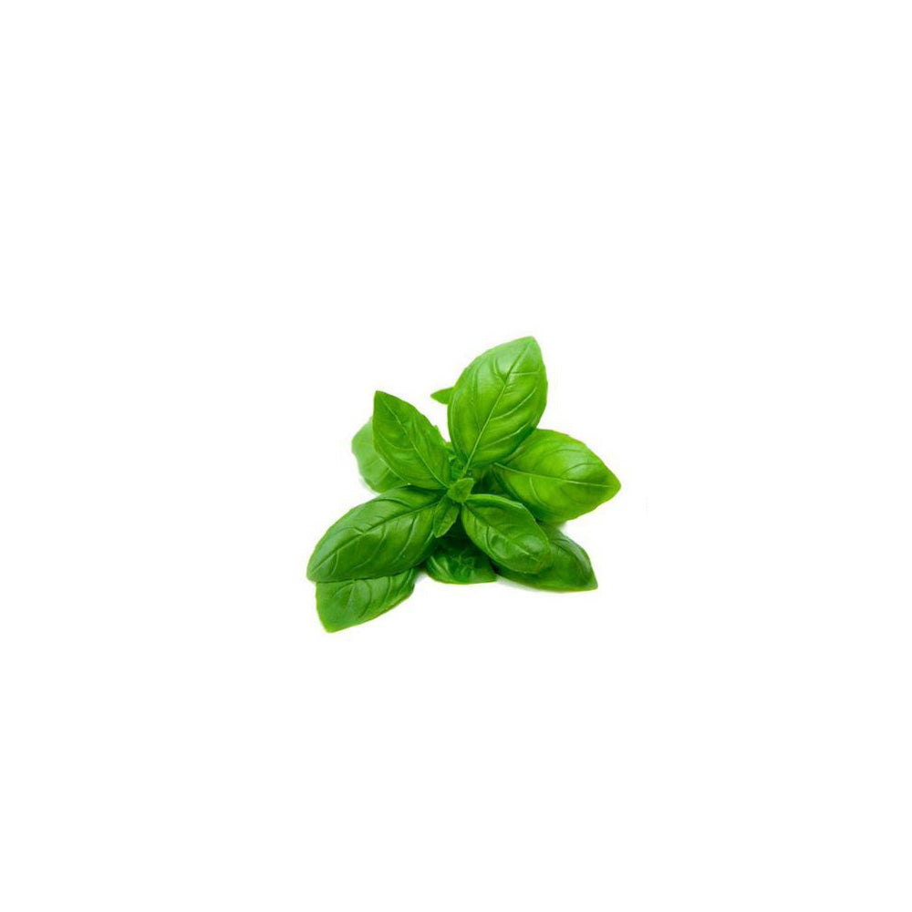 Basil (Sweet) Oil 50mL + Free Dropper WholeSaving