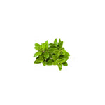 Marjoram (Sweet) Oil 50ml + Free Dropper