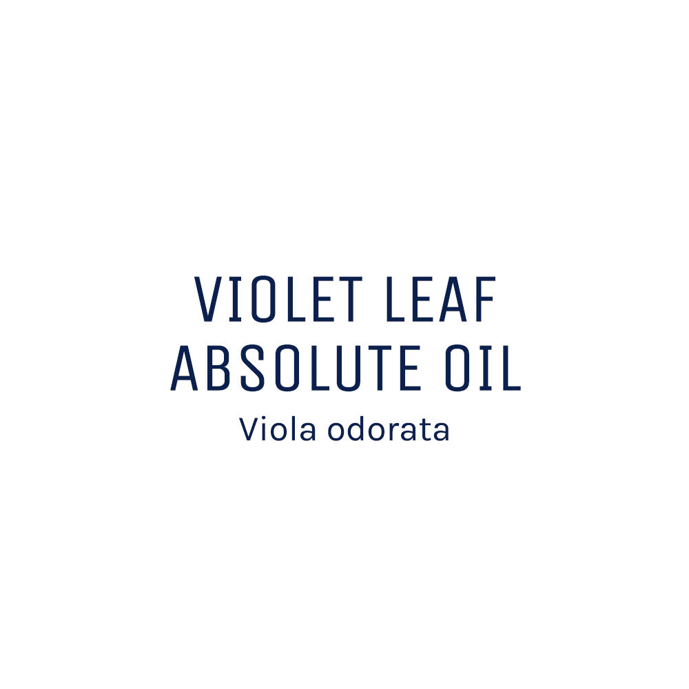 Violet Leaf Absolute Oil (Viola Odorata)