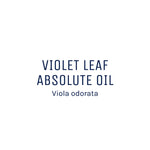 Violet Leaf Absolute Oil 50ml + Free Dropper