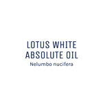 Lotus (White) Absolute Oil 50ml + Free Dropper